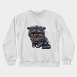 Cat-a-clysm exotic shorthair kitten Crewneck Sweatshirt